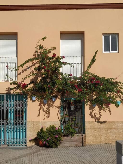 Apartamento Las Canastas Cadiz Centro Esterno foto