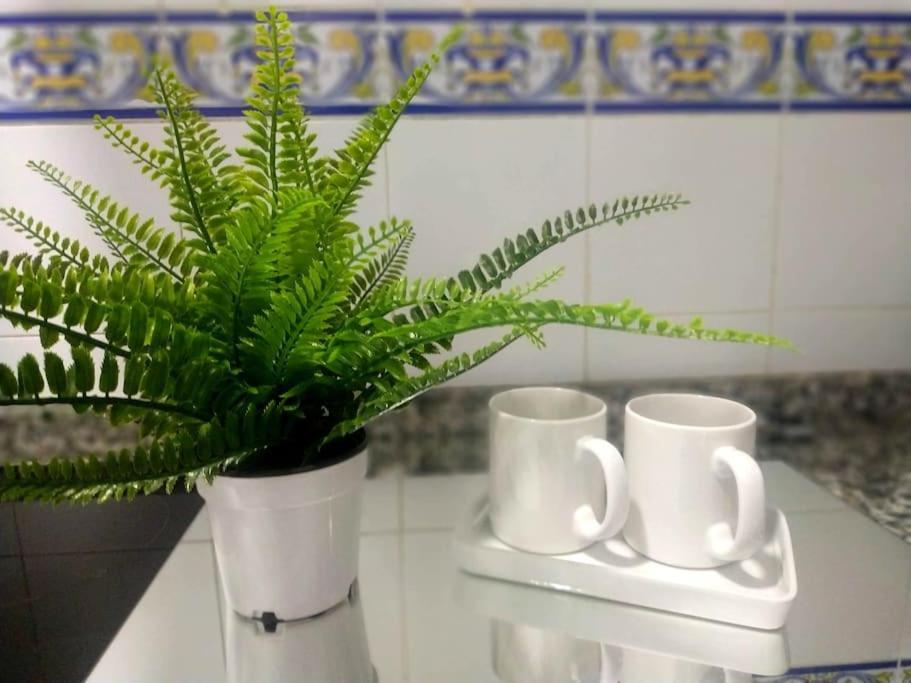 Apartamento Las Canastas Cadiz Centro Esterno foto